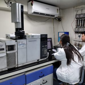 IMG_20241021_160147007_HDR