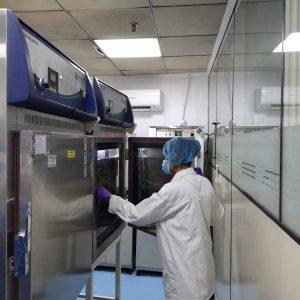 IMG_20241023_121321731_BURST000_COVER